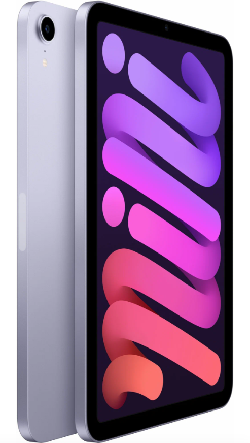 Планшет Apple iPad mini (2021) 256Gb Wi-Fi, фиолетовый в Челябинске купить по недорогим ценам с доставкой