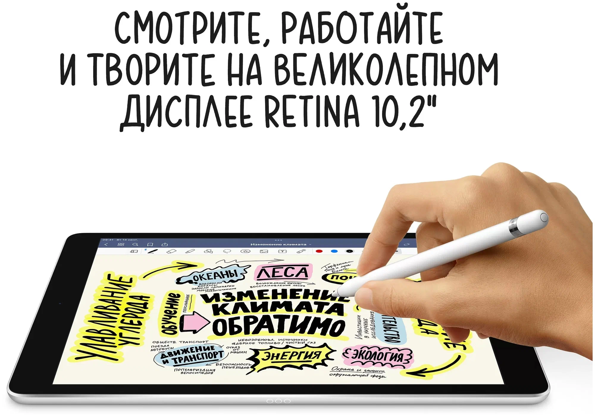 Планшет Apple iPad (2021) 256Gb Wi-Fi, Space Gray (EU) в Челябинске купить по недорогим ценам с доставкой