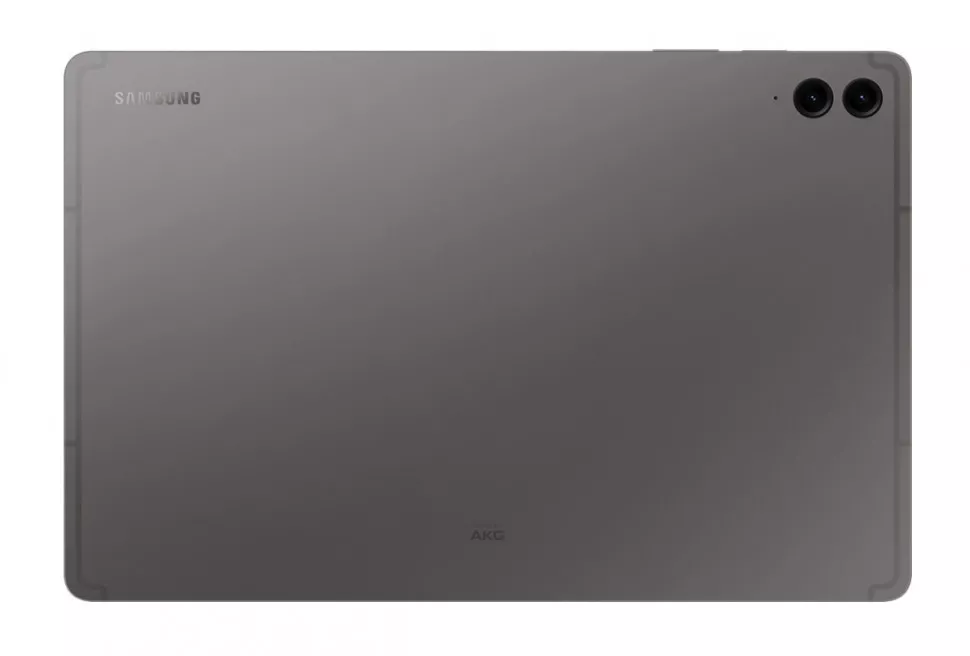Планшет Samsung Galaxy Tab S9 FE+, 12 ГБ/256 ГБ, Wi-Fi, со стилусом, серый в Челябинске купить по недорогим ценам с доставкой