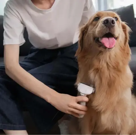 Щетка Xiaomi Pawbby MG-PCQ001, white в Челябинске купить по недорогим ценам с доставкой