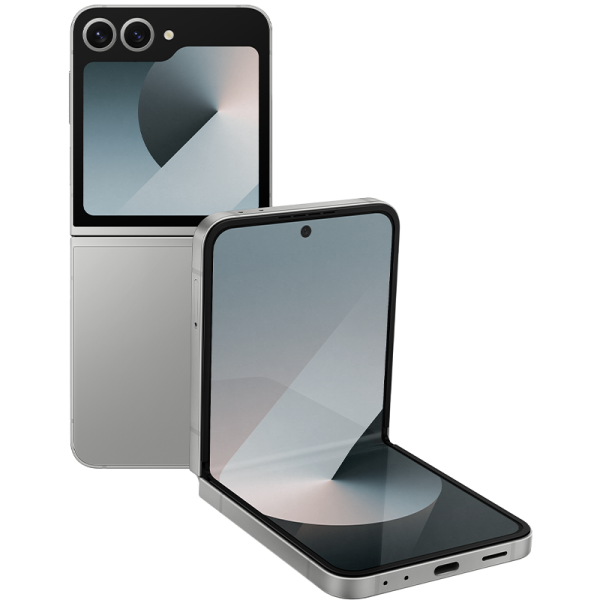 Смартфон Samsung Galaxy Z Flip6 12/512Gb, Gray в Челябинске купить по недорогим ценам с доставкой
