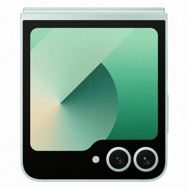 Смартфон Samsung Galaxy Z Flip6 12/256Gb, Mint в Челябинске купить по недорогим ценам с доставкой