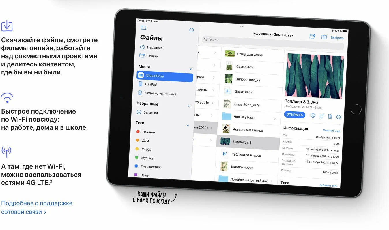 Планшет Apple iPad (2021) 64Gb Wi-Fi + Cellular, серый космос в Челябинске купить по недорогим ценам с доставкой