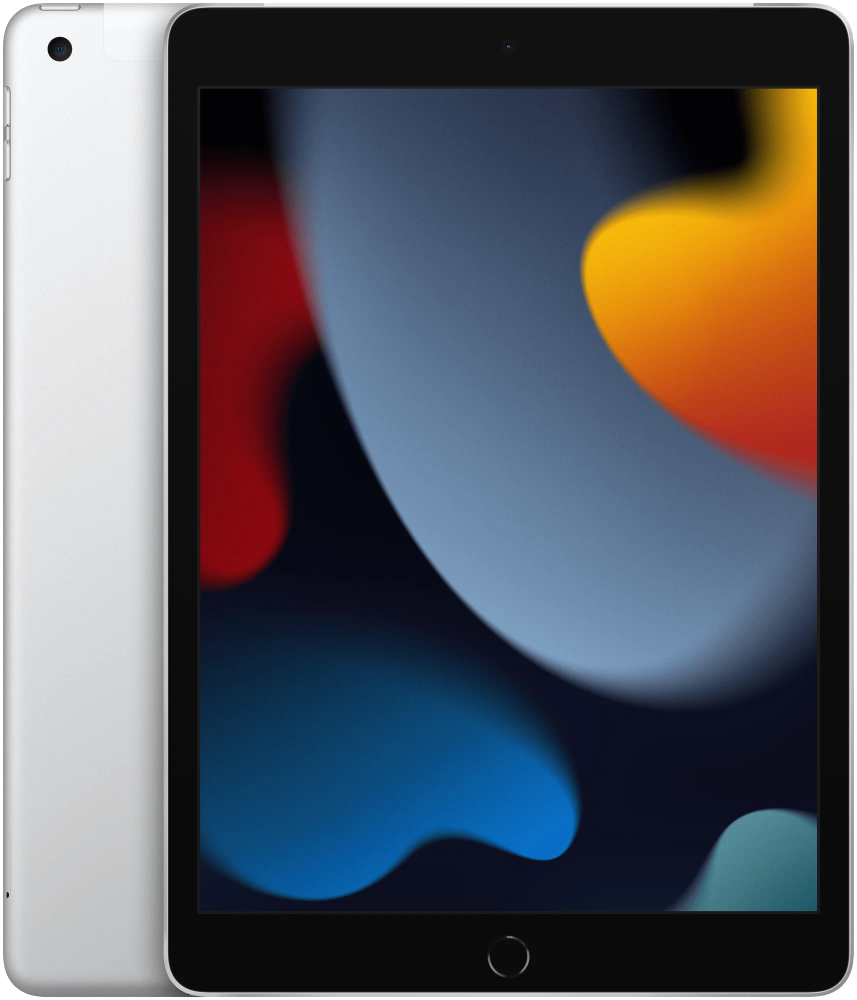 Планшет Apple iPad (2021) 256Gb Wi-Fi + Cellular, серебристый в Челябинске купить по недорогим ценам с доставкой