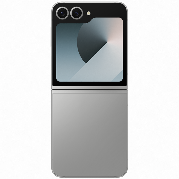 Смартфон Samsung Galaxy Z Flip6 12/256Gb, Gray в Челябинске купить по недорогим ценам с доставкой