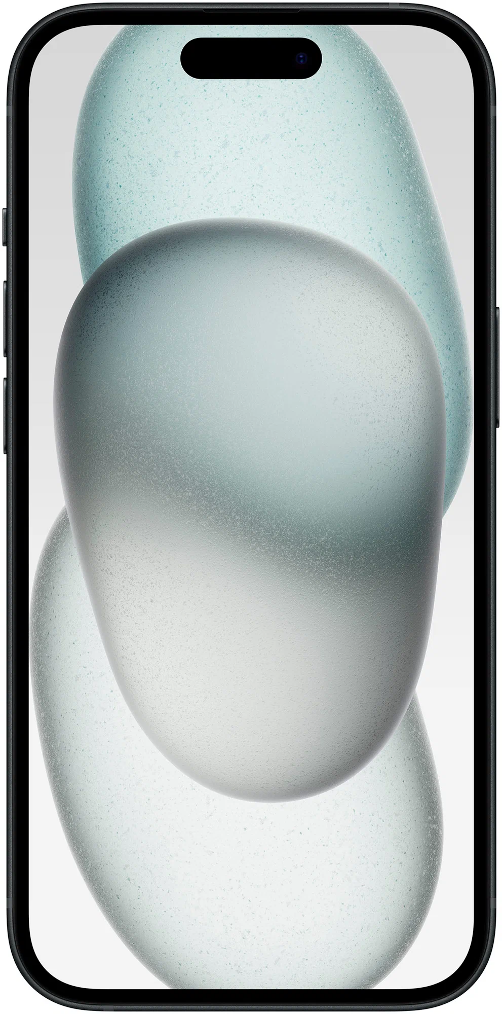 Смартфон Apple iPhone 15 Plus 256GB Black в Челябинске купить по недорогим ценам с доставкой