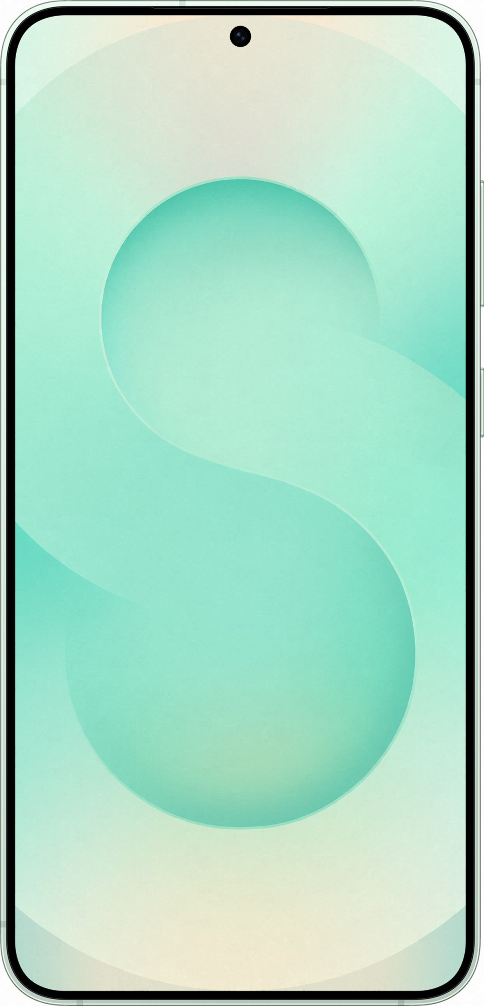 Смартфон Samsung Galaxy S25+ 12/512Gb, мятный в Челябинске купить по недорогим ценам с доставкой