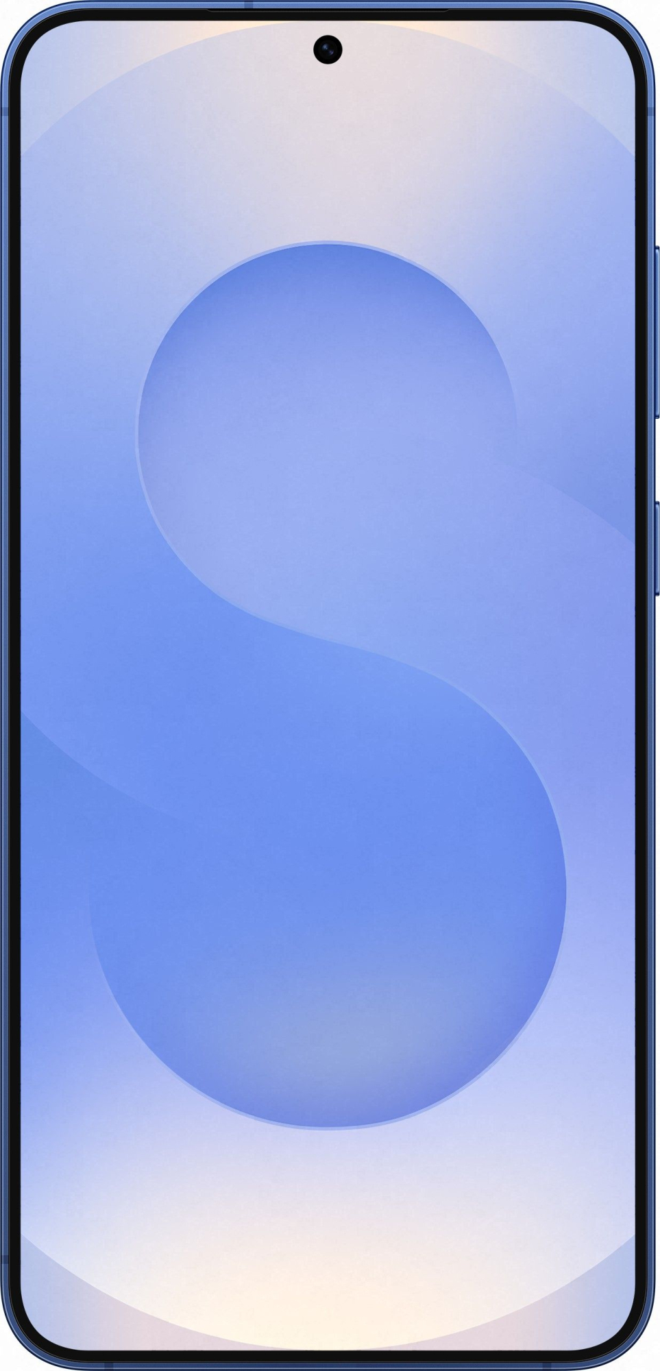 Смартфон Samsung Galaxy S25+ 12/256Gb, синий в Челябинске купить по недорогим ценам с доставкой