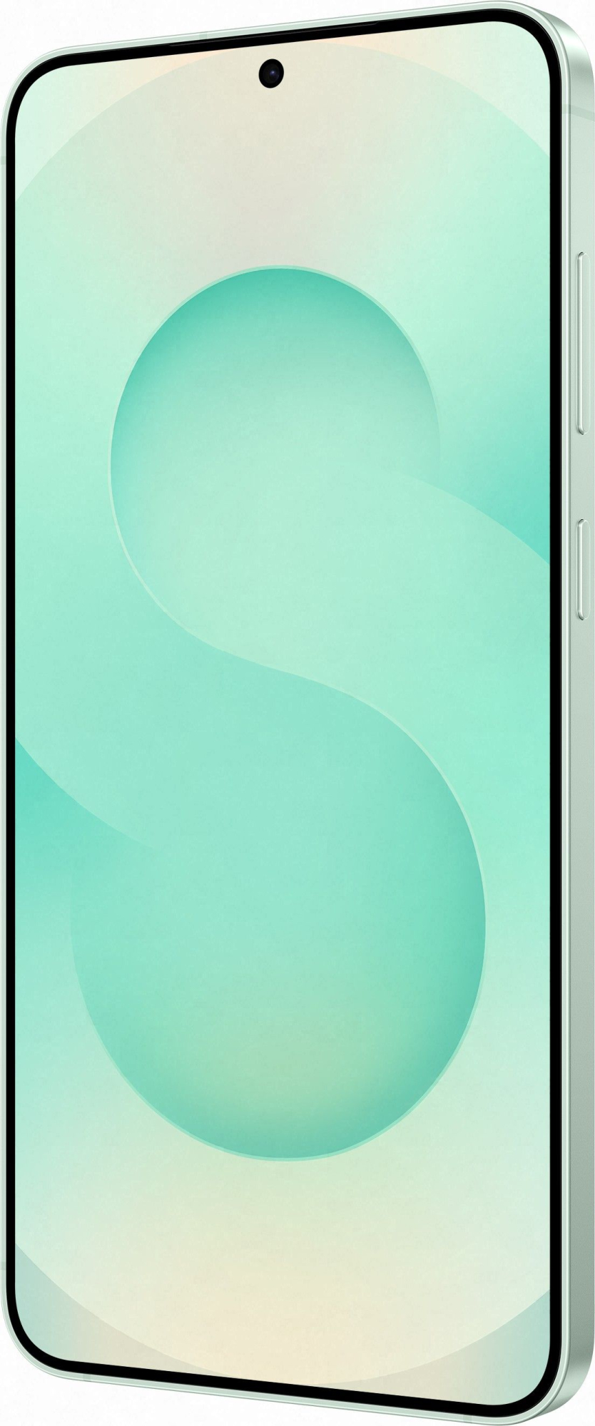 Смартфон Samsung Galaxy S25+ 12/256Gb, мятный в Челябинске купить по недорогим ценам с доставкой