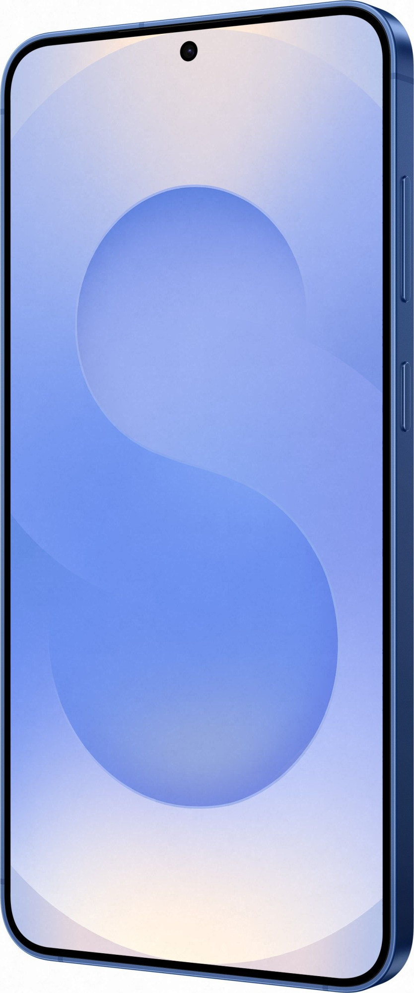 Смартфон Samsung Galaxy S25+ 12/512Gb, синий в Челябинске купить по недорогим ценам с доставкой