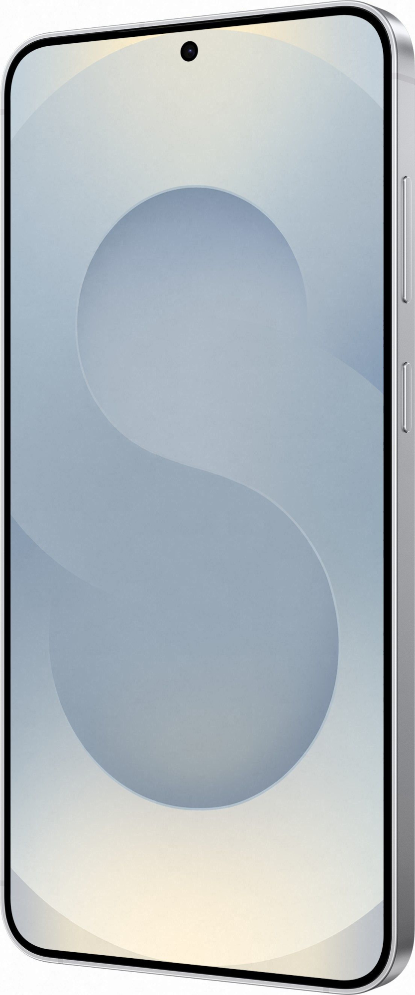Смартфон Samsung Galaxy S25+ 12/512Gb, серый в Челябинске купить по недорогим ценам с доставкой